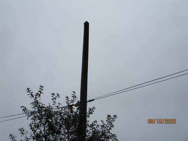 Poteau bois étêté