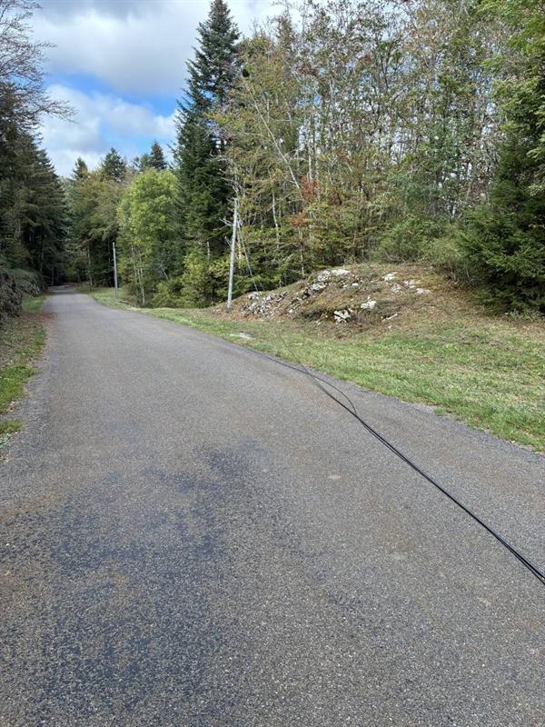 Câble fibre tombé sur la chaussée